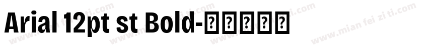 Arial 12pt st Bold字体转换